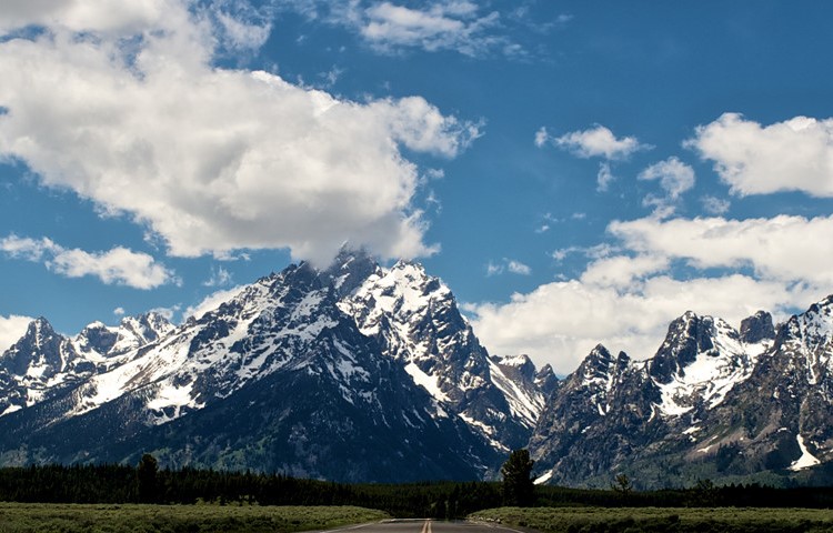 headBannerPhoto