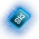 c6